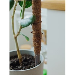 Опора для комнатных цветов, h=100 см, d=2.5 см, пластик, кокосовая оплётка, Greengo