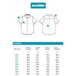 Рубашка ACOOLA, 1125845