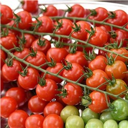 5112D Томат Терек F1 5шт