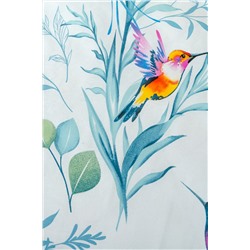 КПБ PAVLine Колибри бязь вид 1