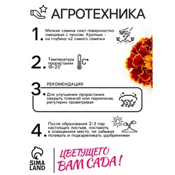 Семена цветов Бархатцы «Болеро», 0.2 г
