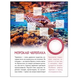 Мир животных с наклейками. Кто живёт под водой?