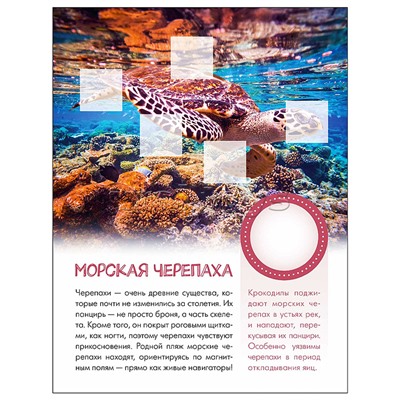 Мир животных с наклейками. Кто живёт под водой?