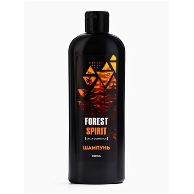 Подарочный набор мужской FOREST SPIRIT, гель для душа 250 мл, шампунь 250 мл