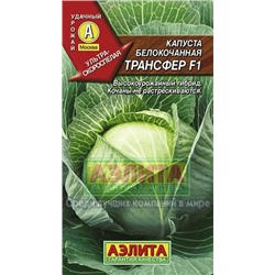 Капуста бк Трансфер F1 (Аэлита)