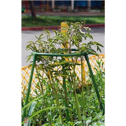 Опора для цветов «Соцветие» 40х50 см