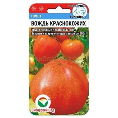 Томат Вождь краснокожих (Сахарный бизон) (Сиб сад)