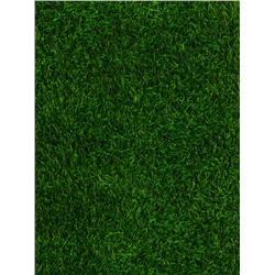 Газон искусственный, для спорта, ворс 40 мм, 2×25 м, зелёный, Greengo