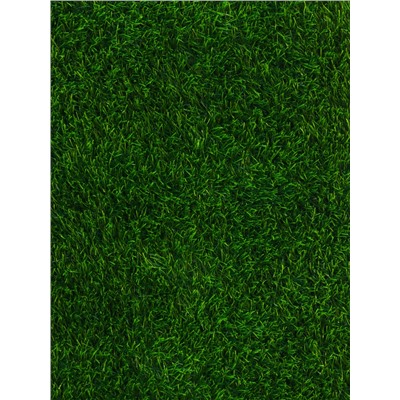 Газон искусственный, для спорта, ворс 40 мм, 2×25 м, зелёный, Greengo