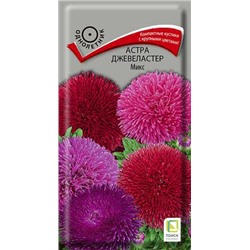 Астра Джевеластер Микс (Код: 68204)