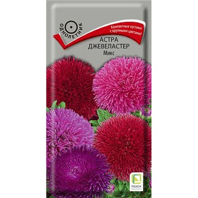 Астра Джевеластер Микс (Код: 68204)