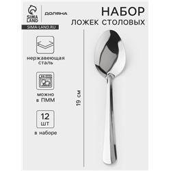 Набор столовых ложек Доляна «Оптима», длина 19 см, набор 12 шт., нержавеющая сталь, серебристый
