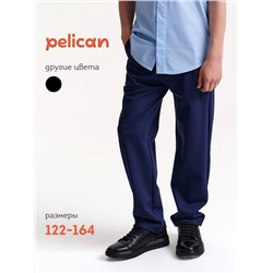 PELICAN Брюки BFPQ7045