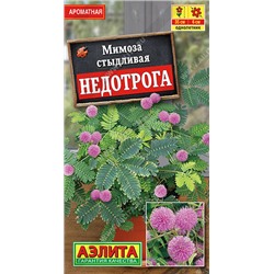 1648A Мимоза Недотрога 10 шт