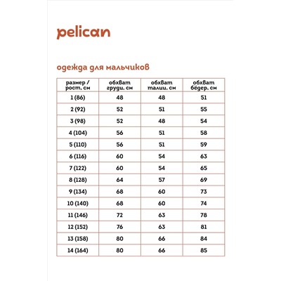 Брюки PELICAN, 971834