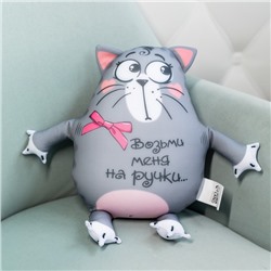 Игрушка-антистресс «Возьми меня на ручки», кот