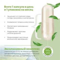 Биологически активная добавка к пище Сибирский концентрат №1 «ДИГИДРОКВЕРЦЕТИН 100»