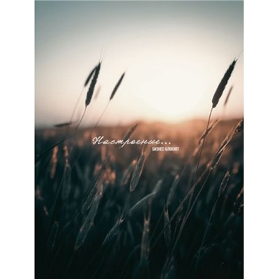 Бизнес-блокнот А5  80л клетка "КОЛОСКИ-1" с тиснением "Лен", закругленные углы 80-4474 Проф-Пресс