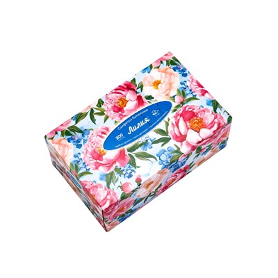 Салфетки бумажные в коробке, 20х19, 2 слоя, 200 шт