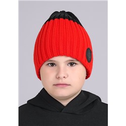 453001 CLEVER Шапка