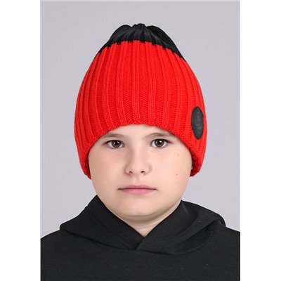 453001 CLEVER Шапка