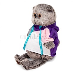 Кот Басик в разноцветной толстовке