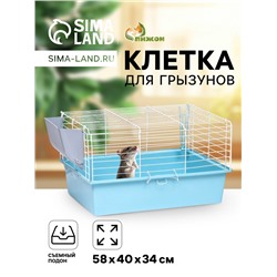 Клетка для грызунов «Пижон» №1 складная, 58×40×34 см (+миска, 2 кормушки), бирюзовая