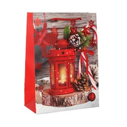 Пакет подарочный 18х24х8.5 / 362-56-S /уп 12/720/ микс Новый год