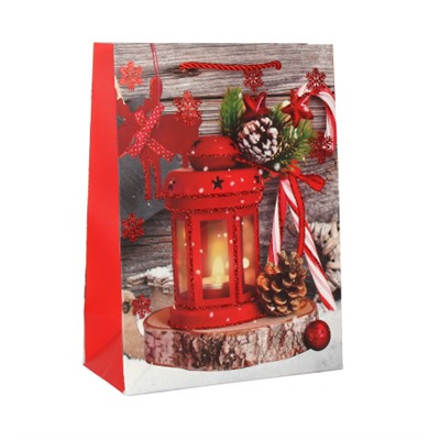 Пакет подарочный 18х24х8.5 / 362-56-S /уп 12/720/ микс Новый год