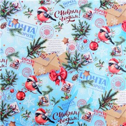 Бумага упаковочная новогодняя «Снегирь на письме», белый крафт, 80 г/м², 50×70 см