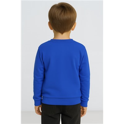 Свитшот для мальчика ROC24