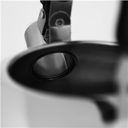 Чайник Доляна «Чёрная ночь», 2 л, со свистком, индукция, нержавеющая сталь, хромированный