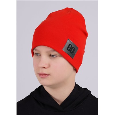 CLEVER Шапка