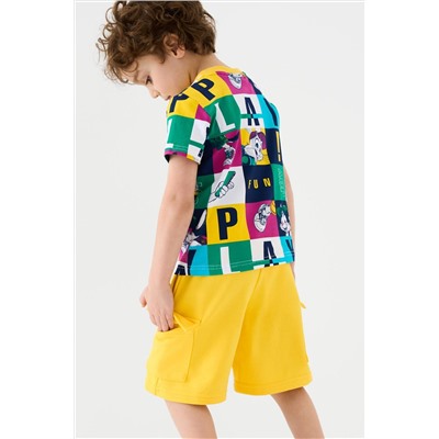 Шорты трикотажные для мальчиков PLAYTODAY, 1240610