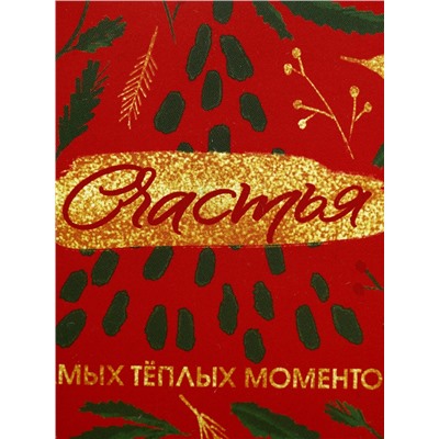 Ланч - бокс новогодний «Счастья», 500 мл