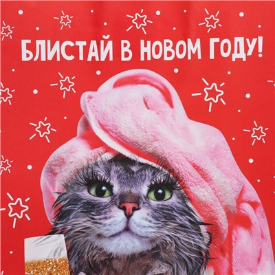 Пакет подарочный новогодний крафтовый «Блистай», 28×32×15 см