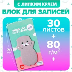 Блок для записей 35×70 мм, «Серый котик», 30 листов