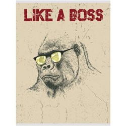Тетрадь А4-  48л клетка "Boss" Т4484961 Эксмо