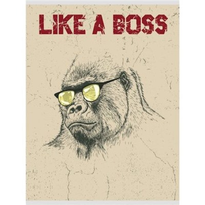 Тетрадь А4-  48л клетка "Boss" Т4484961 Эксмо