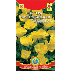 Энотера Миссурийская (Код: 76197)
