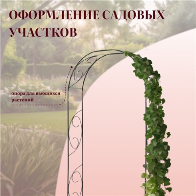 Арка садовая, 250×120×30 см, для вьющихся растений, металлическая, зелёная, «Узор-1»