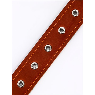Ошейник комбинированный безразмерный, кожа/брезент, 65×3.5 см, ОШ 31-61 см, коричневый