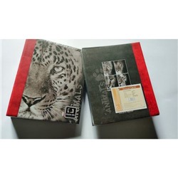 Фотоальбом 10х15 на 100 фотографий IA-100PP серия 400 Животные Image Art