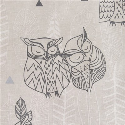 Постельное бельё евро «Этель. Ушастые совы (вид 2)», бязь