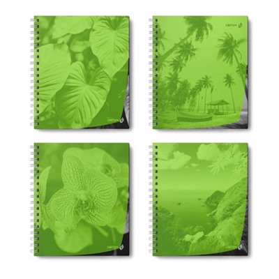 Тетрадь  48л  клетка на спирали пластик. обложка, ч/б запечат. титульн.лист "Тайны природы" лайм 01546(Т208) SVETOCH