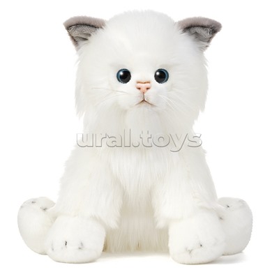 Котик Турецкая Ангора, 25 см