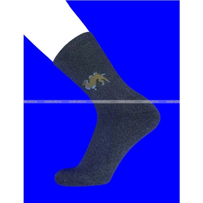 Термоноски мужские верблюжья шерсть внутри махра арт. 1307