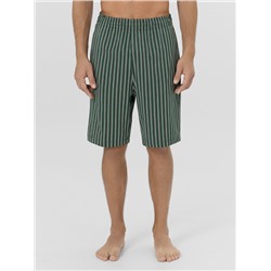 ШОРТЫ МУЖСКИЕ 531027