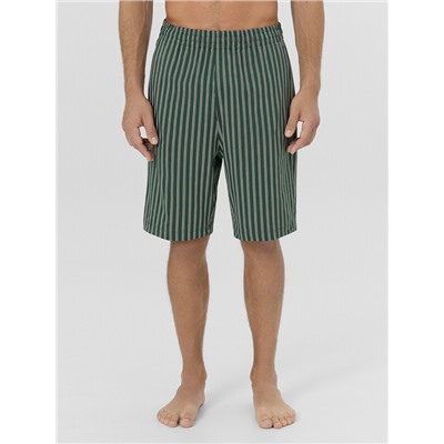 ШОРТЫ МУЖСКИЕ 531027