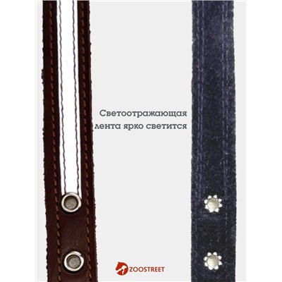 Ошейник, 35×1.5 см, с подкладом и светоотражающей лентой, кожа, коричневый